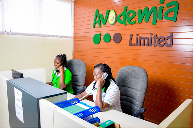 Avodemia limited front office