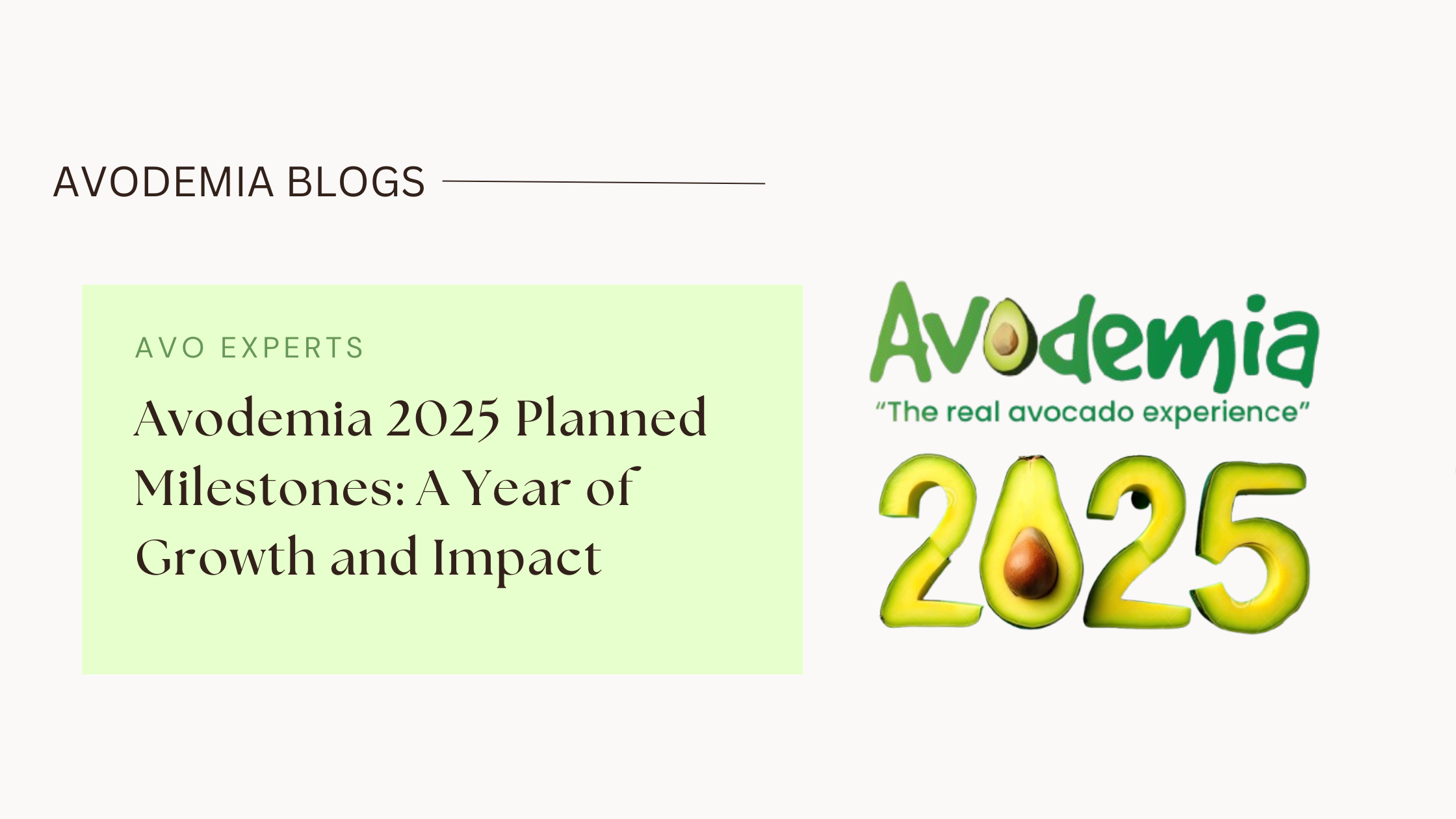 AVODEMIA 2025 PLANS AND MILESTONES