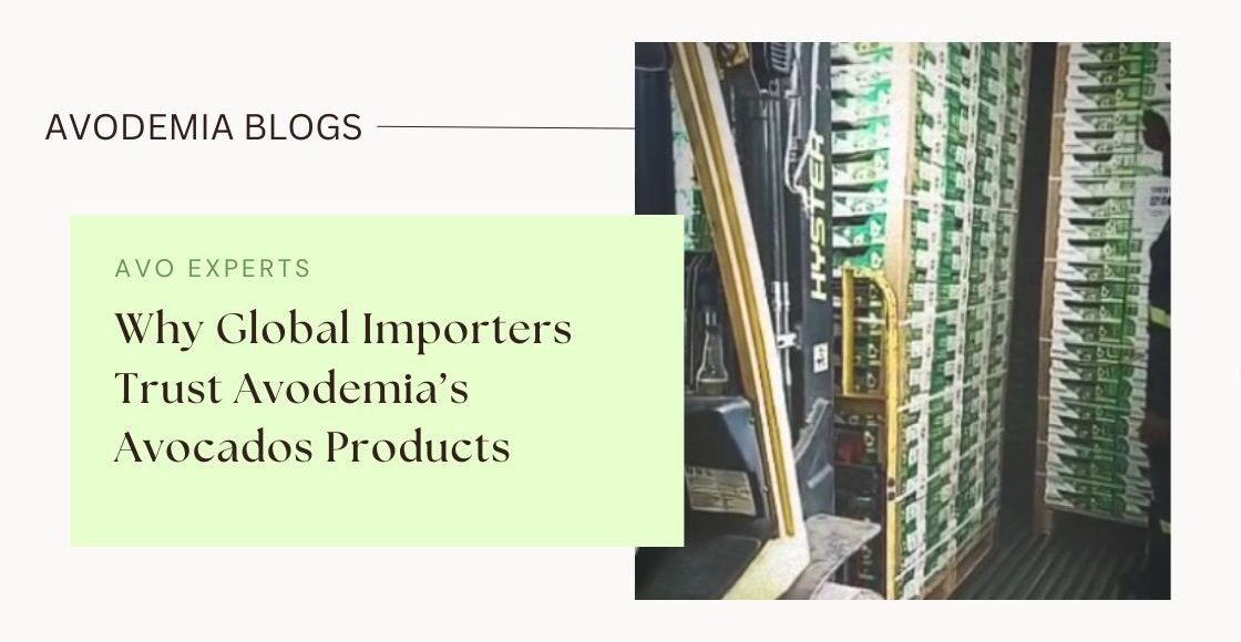 Why Global Importer Trust Avodemia’s Avocados Products