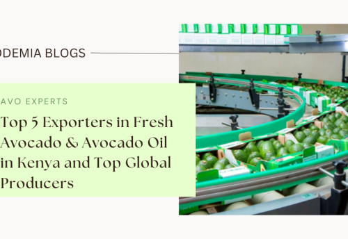 Top 5 Exporters in Fresh Avocado & Avocado Oil in Kenya and Top Global Producers